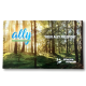 Ally Brochure (EN)